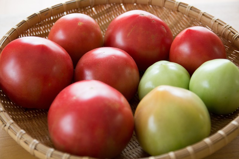 トマトが割れる原因と割れないための対策